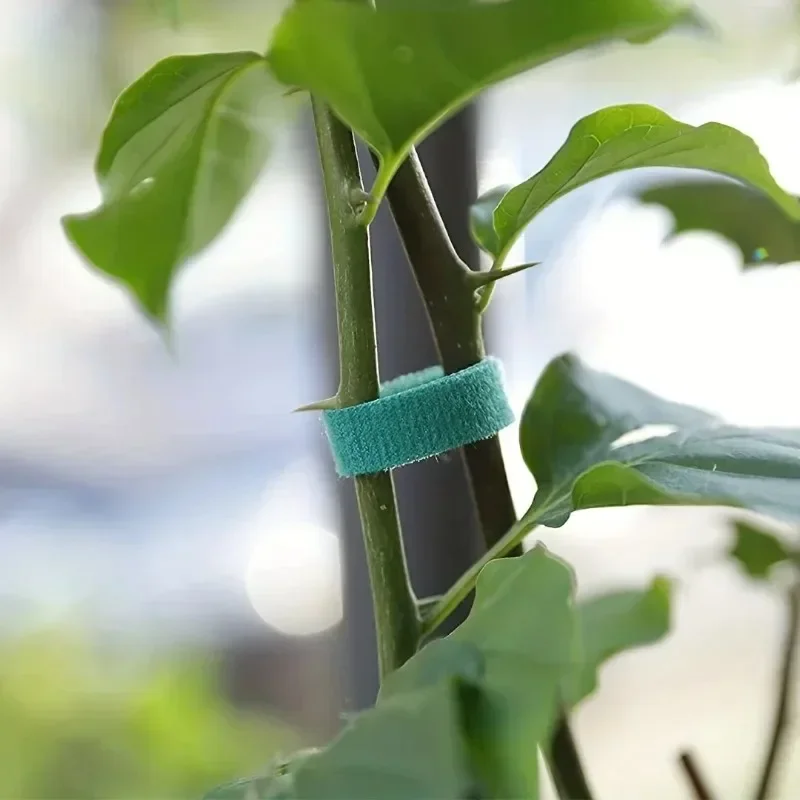 自己粘着植物ナイロンケーブルタイグリーン調整可能な植物フック - Gear Tie Reusable のレビューと価格